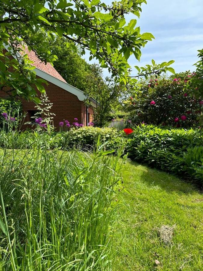 Haystackcottage Paterswolde Zewnętrze zdjęcie