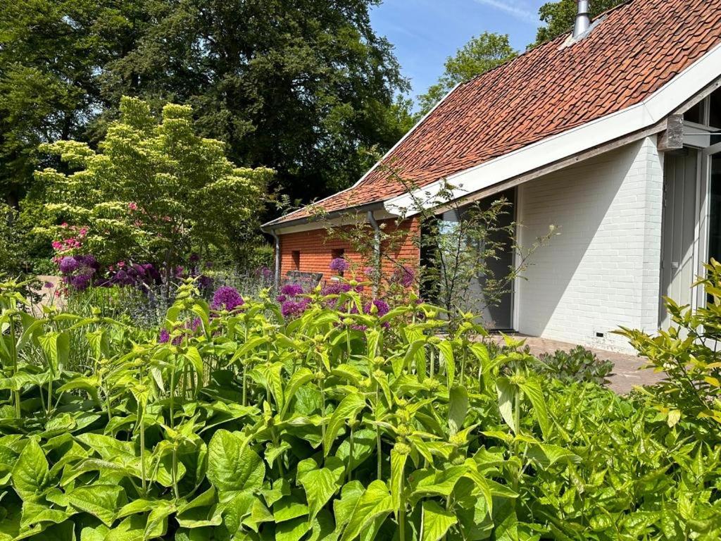Haystackcottage Paterswolde Zewnętrze zdjęcie