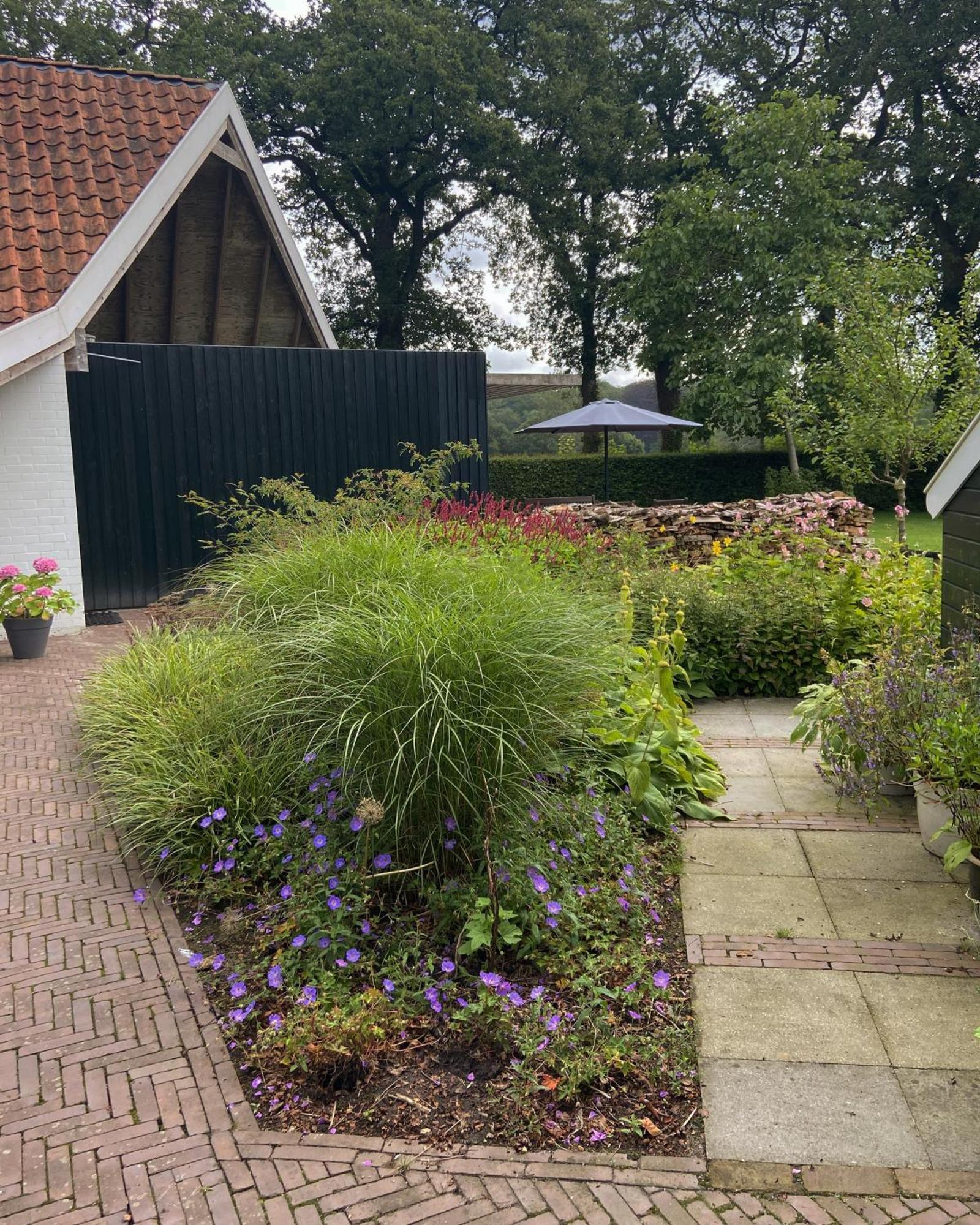 Haystackcottage Paterswolde Zewnętrze zdjęcie